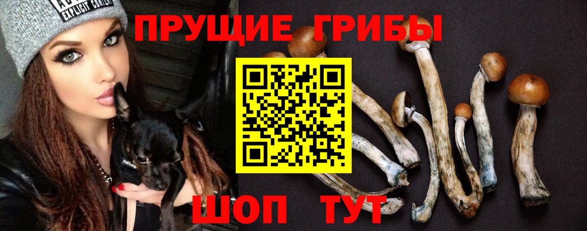 Псилоцибиновые грибы мицелий Саянск