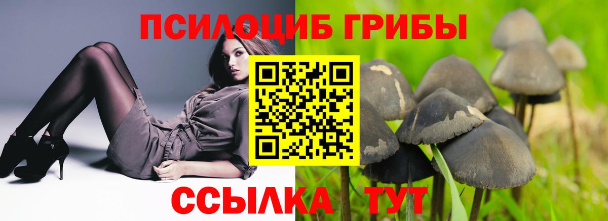 Галлюциногенные грибы ЛСД  Вход с VPN  Псилоцибиновые грибы Psilocybe  Саянск 
